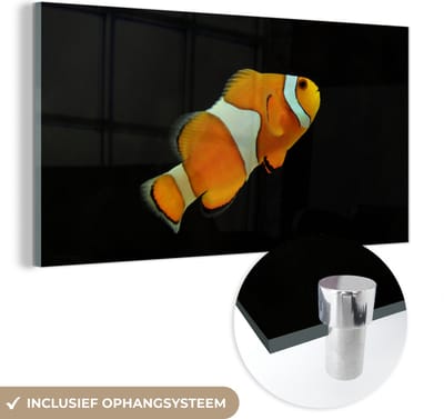 MuchoWow® Glasschilderij 40x20 cm - Schilderij acrylglas - Vis - Lijn - Zwart - Foto op glas - Schilderijen