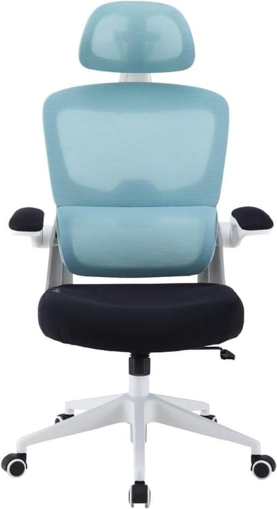 Gaming Stoel - Ergonomische Stoel - Thuiswerken Kantoor - Verstelbare Armleuningen - 80 x 45 x 95 - Veelkleurig