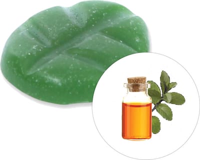 Scentchips® Musk & Patchouli - Geurblokjes - Huisparfum - Geurchips - Waxmelts - Geschikt voor Geurbrander en Waxbrander - M - 13 Stuks