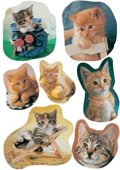 Etiket herma 5747 katten | 10 stuks