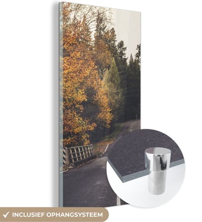 MuchoWow® Glasschilderij 20x40 cm - Schilderij acrylglas - Bomen - Weg - Herfst - Foto op glas - Schilderijen
