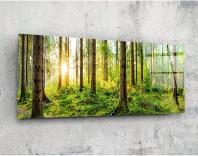 Panorama Glasschilderij - Zonnige bos - Wanddecoratie - 92 x 36 cm