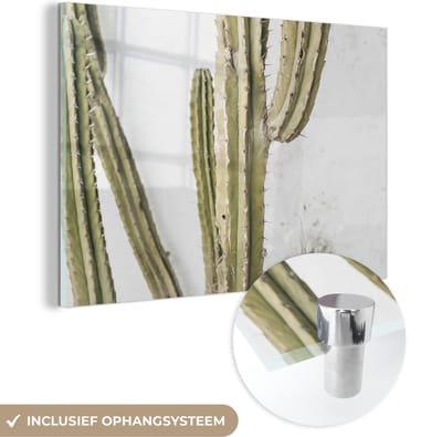 MuchoWow® Glasschilderij 150x100 cm - Schilderij acrylglas - Cactus - Zomer - Planten - Foto op glas - Schilderijen