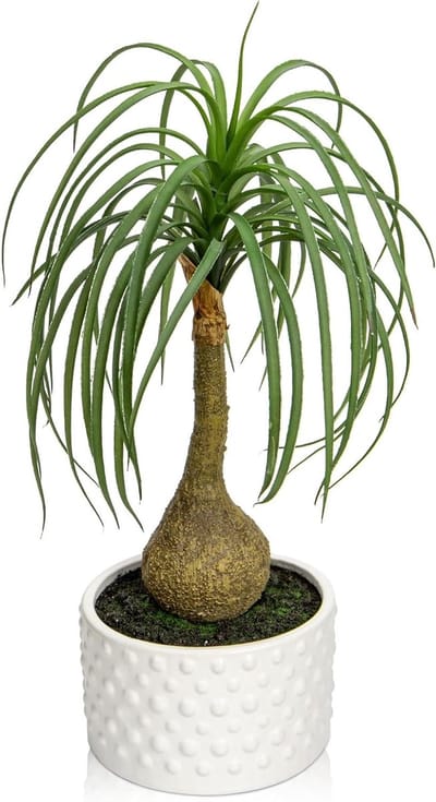 Decoratieve Kunstplanten in Keramische Potten - 41CM Ponytail Palm Plant voor Thuis, Kantoor en Badkamer - Realistische Faux Bonsai Boom voor Interieurdecoratie en Plantenliefhebbers