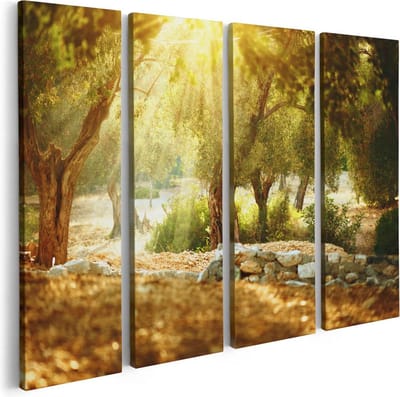 Artaza Canvas Schilderij Vierluik Olijfbomen - Olijfboomgaard  - 80x60 - Foto Op Canvas - Canvas Print