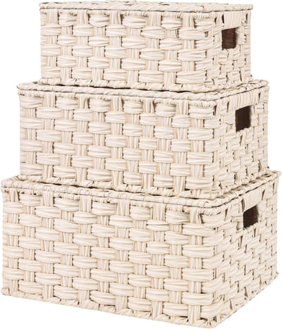 SAYS Rieten manden met deksels, set van 3 decoratieve opbergdozen, geweven mand opbergbakken, opslag en organisatormanden bakken, nesting geweven rieten opbergmand - Wit