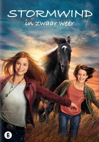 Stormwind 5 - In Zwaar Weer (DVD)