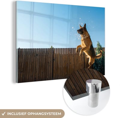 ® Glasschilderij 180x120 cm - Schilderij acrylglas - En Duitse Herder springt naar de sneeuw - Foto op glas - Muurdecoratie woonkamer - Wanddecoratie slaapkamer - Schilderijen