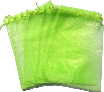 Beschermzakken voor Fruit 15x20 cm - Pack van 100 - Organza - Doorzichtig - Trekkoord - Herbruikbaar - Voor Appels, Peren, Perziken, Tomaat