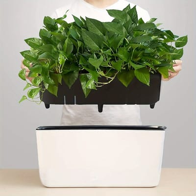 Zelfwaterende Bloempot 40 cm – Rechthoekige Plantenbak met Waterniveau Indicator – Kunststof Bloempot voor Binnen en Buiten