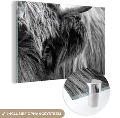 MuchoWow® Glasschilderij 150x100 cm - Schilderij acrylglas - Schotse Hooglander - Oog - Zwart - Wit - Foto op glas - Schilderijen
