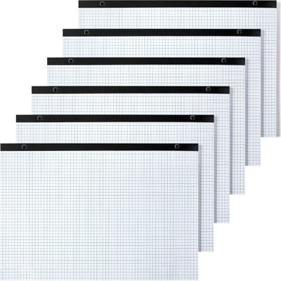 6 Vellen Groot Formaat Grafisch Papier 28x43 cm - 100 g/m² - Voor Architecten, Ingenieurs, Ontwerpers & Studenten