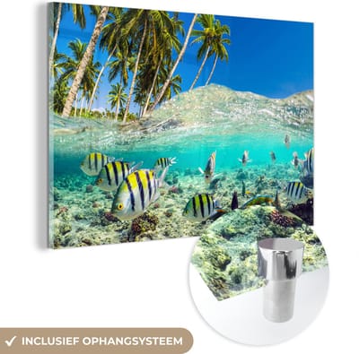 MuchoWow® Glasschilderij 90x60 cm - Schilderij acrylglas - Zee - Vissen - Koraal - Foto op glas - Muurdecoratie woonkamer - Wanddecoratie slaapkamer - Schilderijen