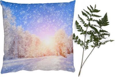 Sierkussens - Kussentjes Woonkamer - 40x40 cm - Sneeuw - Zon - Winter - Kerstversiering - Kerstdecoratie voor binnen - Woonkamer