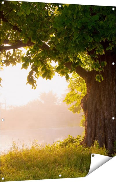 Gards Tuinposter Eikenboom aan het Water met Volle Bladeren - 90x120 cm - Tuindoek - Tuindecoratie - Wanddecoratie buiten - Tuinschilderij