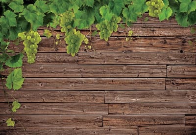 Fotobehang Wooden Wall Grapes | XL - 208cm x 146cm | 130g/m2 Vlies
