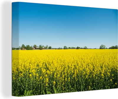 Canvas Schilderij Oliezaad - Geel - Lente - 30x20 cm - Wanddecoratie
