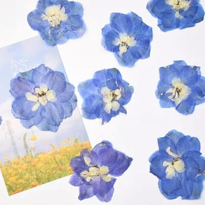 Gedroogde Bloemen Mix - Decoratie Bloemen - Kaars Decoratie - Echte Bloem Blaadjes - 60 Stuks - Lichtblauw