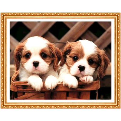 Kits de peinture de diamant de chiot, bricolage 5D, couture, série d'animaux ronds complets, peinture de diamant, décoration de maison 20X30CM black