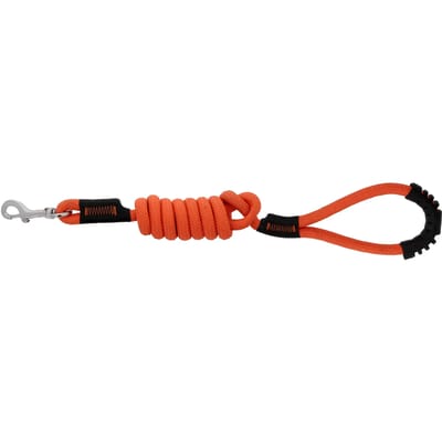 Hondenriem met handvat Riding World Lucky