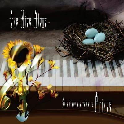 One Nite Alone... (Solo Piano And Voice By Prince) - Prince