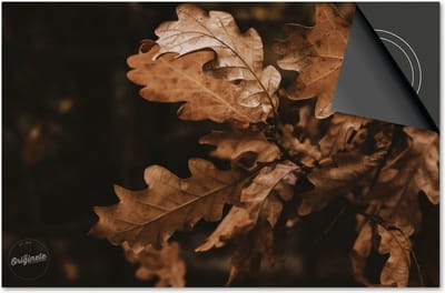 Inductie beschermer 60x60 - afdekplaat inductie mat - Dietrix Kookplaat beschermer - Exclusief - Herfst - Herfsttak donker
