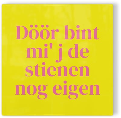 Tegeltje Zwolle Döör bint mi' j de stienen nog eigen - geel roze - tegeltje stad - tegeltje met tekst