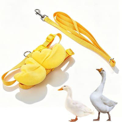 Dailygoods - Verstelbare Pet Harness Leash voor Eenden, Kippen en Gansen - M-Geel