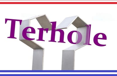 Terholese vlag van Terhole 100 x 150cm