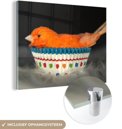 MuchoWow® Glasschilderij 160x120 cm - Schilderij acrylglas - Vogel - Cupcake vormpjes - Portret - Foto op glas - Schilderijen