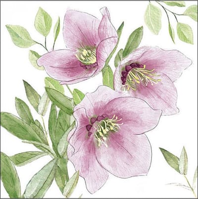 Lunch Servetten Classic helleborus - Ambiente - 33x33 cm