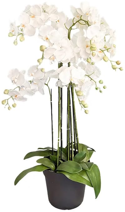 Orchidee Kunstplant 9-tak 110 cm - Wit