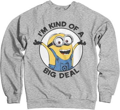 Minions Sweater/trui -S- I'm Kind Of A Big Deal Grijs