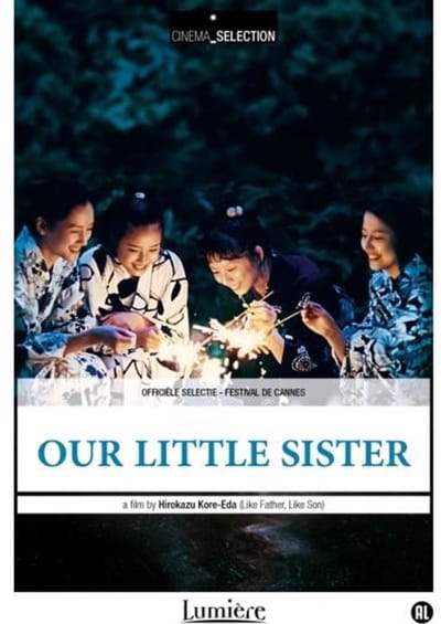 Our Little Sister (DVD)