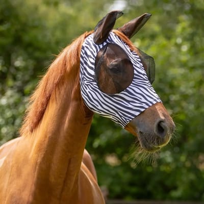 Paardenvliegen hoed QHP Super bug