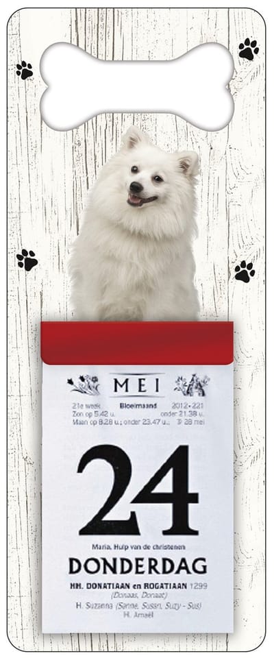 Scheurkalender 2027 Hond: Japanse Spits