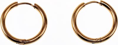 ∅16mm x 2,5mm Oorringen Unisex - Stalen Goud Kleur - Ronde Oorbellen