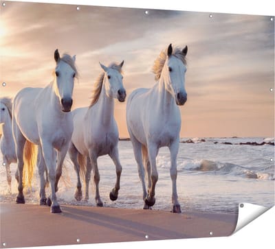 Gards Tuinposter Witte Paarden op het Strand bij Water - 160x120 cm - Tuindoek - Tuindecoratie - Wanddecoratie buiten - Tuinschilderij