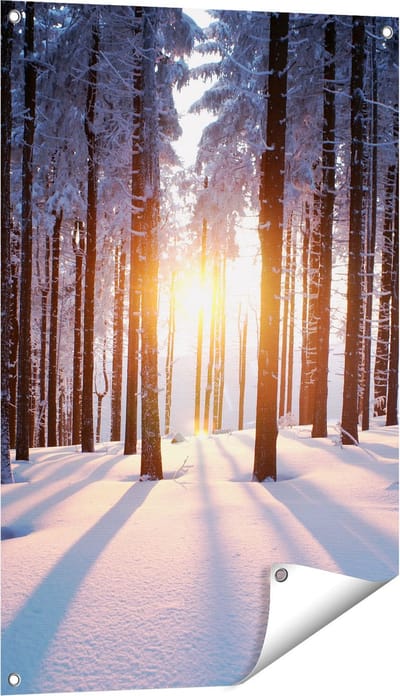 Gards Tuinposter Bos met Sneeuw tijdens de Zonsondergang - 60x90 cm - Tuindoek - Tuindecoratie - Wanddecoratie buiten - Tuinschilderij