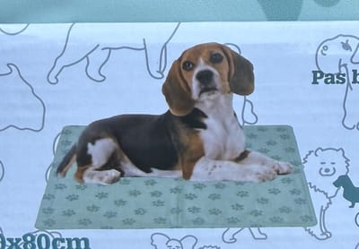 Koelmat dieren honden koelmatten voor huisdieren 60 x 80 cm groen mint met hondenpootjes koude mat voor hond