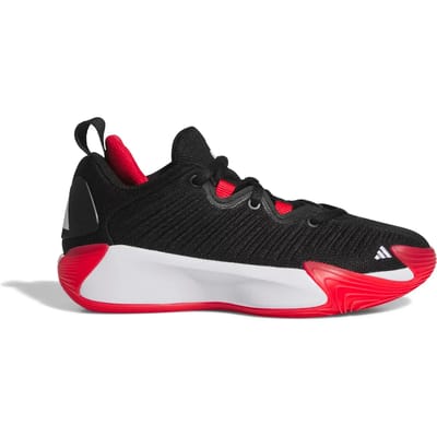 Basketbalschoenen voor kinderen adidas Initiation