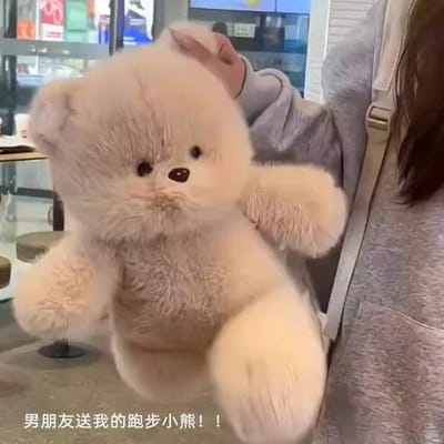 35cm Schattige Pluche Pop Renbeer Slaapbeer Kat Speelgoed Zacht Gevuld Verjaardagscadeau Voor Meisjes Schattig Knuffelbaar Speelgoed Huisdecoratie 35cm gray