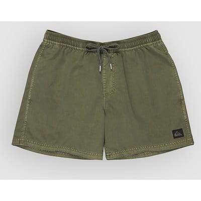 Quiksilver Everyday Surfwash Volley 15 Boardshorts groen