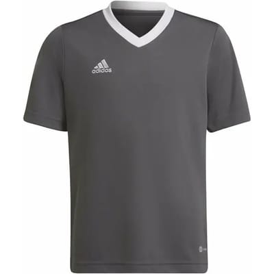 adidas Performance Entrada 22 Voetbalshirt - Kinderen - Grijs - 140