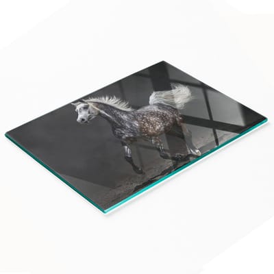 Decoratieve glazen serveerplank voor snacks met Arabisch paardmotief, 80x52 cm