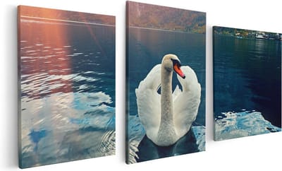 Artaza Canvas Schilderij Drieluik Zwaan op het Water in de Bergen - 120x60 - Foto Op Canvas - Canvas Print