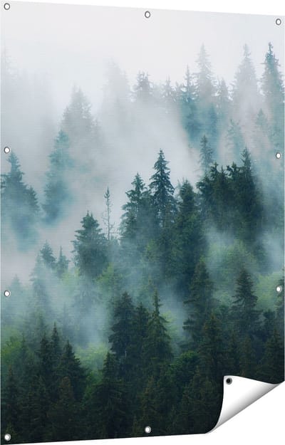 Gards Tuinposter Bos met Bomen in de Mist - 90x120 cm - Tuindoek - Tuindecoratie - Wanddecoratie buiten - Tuinschilderij