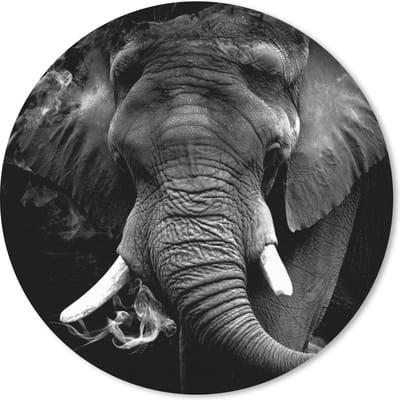 Muismat rond 20x20 cm - Mousepad Olifant - Rook - Tanden - Zwart - Wit - Ronde muismatten
