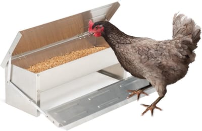 XL Voederstation voor Kippen - Automatische Pedaaldispenser van Staal, 5 kg
