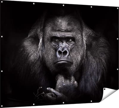 Gards Tuinposter Gorilla - Zwart Wit - 160x120 cm - Tuindoek - Tuindecoratie - Wanddecoratie buiten - Tuinschilderij